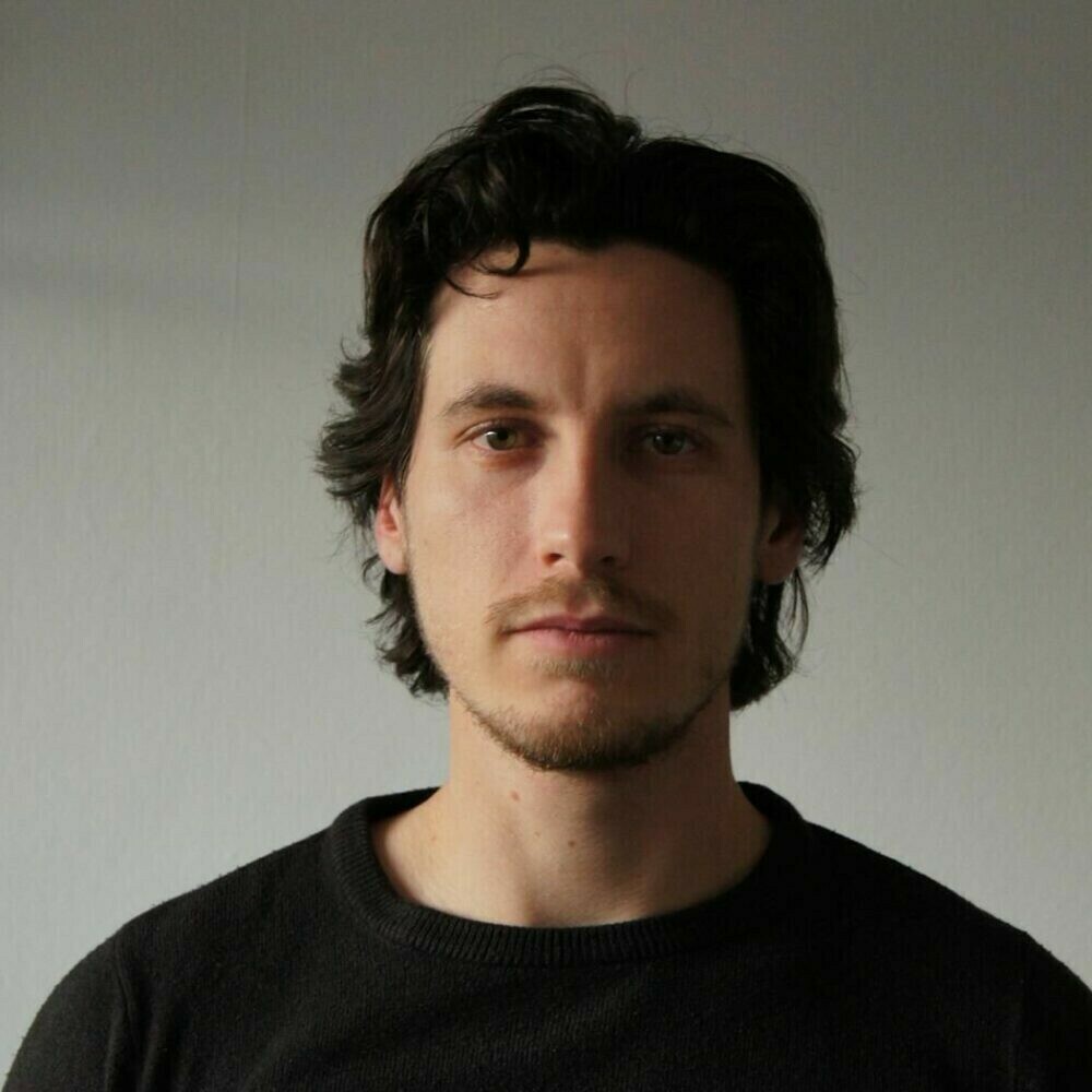 Enzo Agostinis